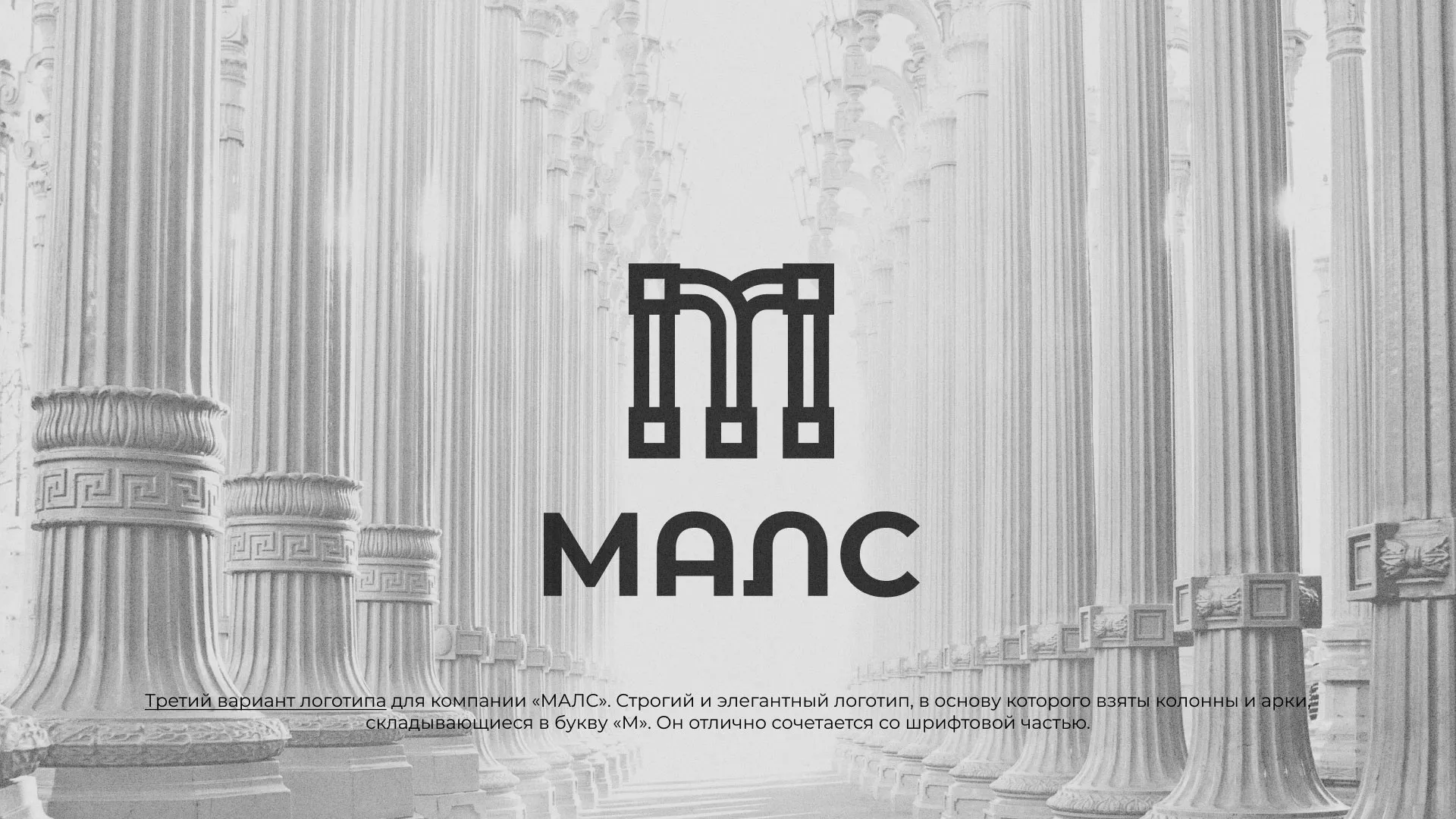 Разработка логотипа компании «МАЛС» в Каменск-Шахтинске
