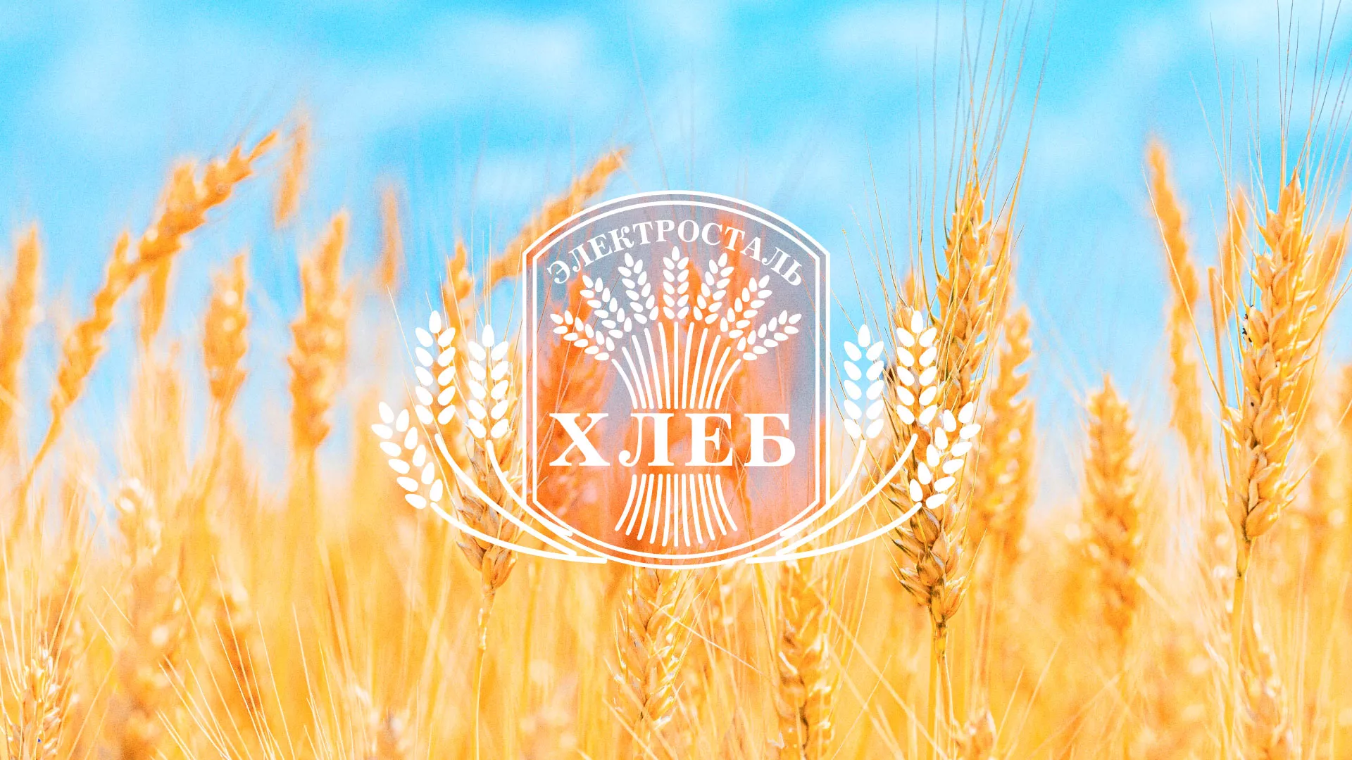 Создание сайта для хлебзавода в Каменск-Шахтинске